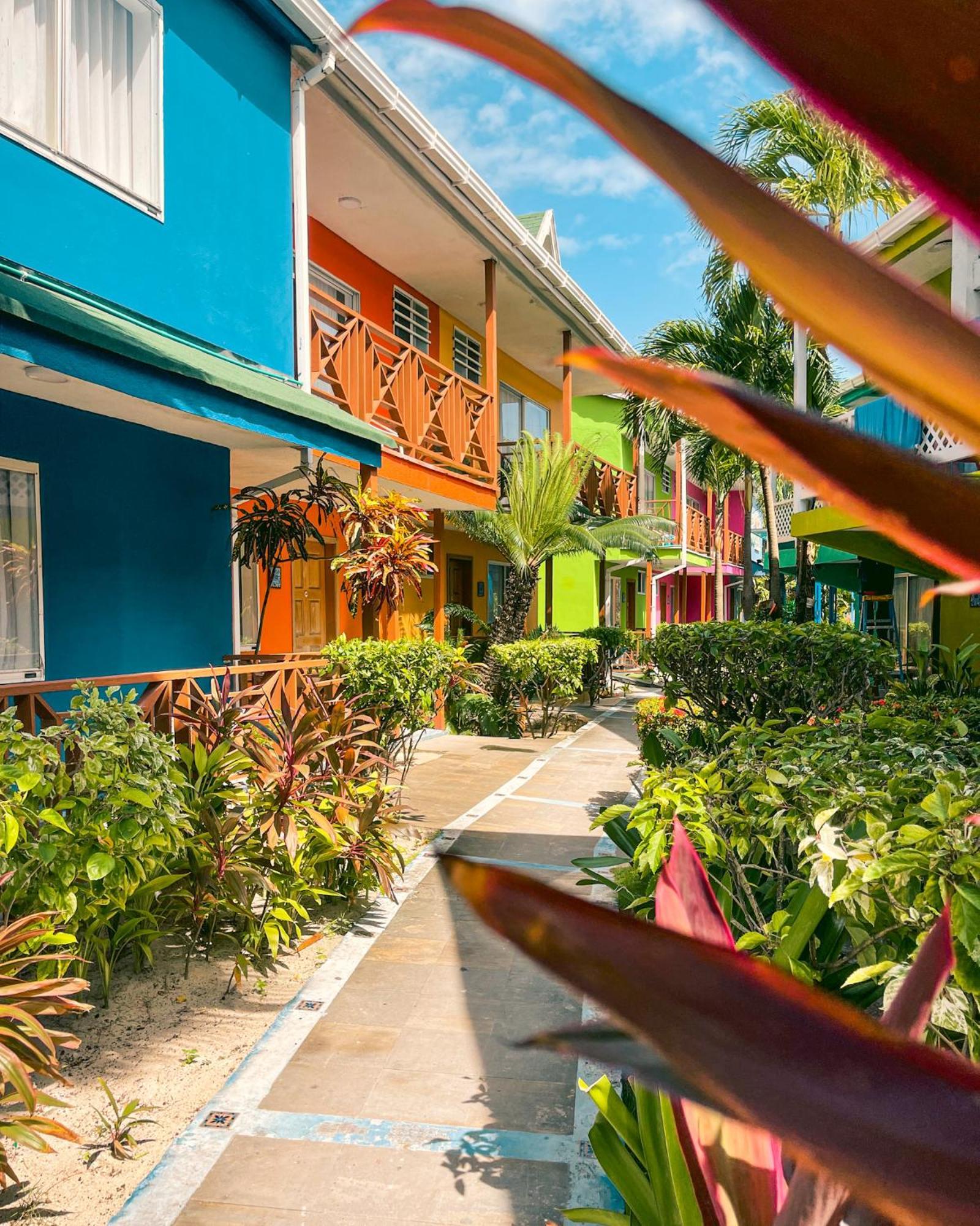 Hotel Cocoplum Beach San Andrés 외부 사진